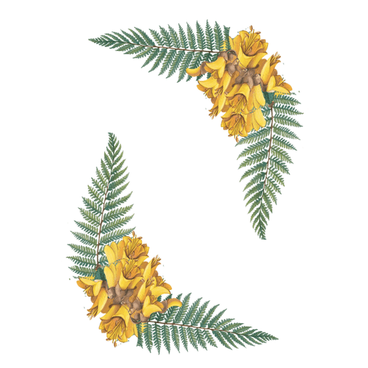 FERN AND KOWHAI CORNERS