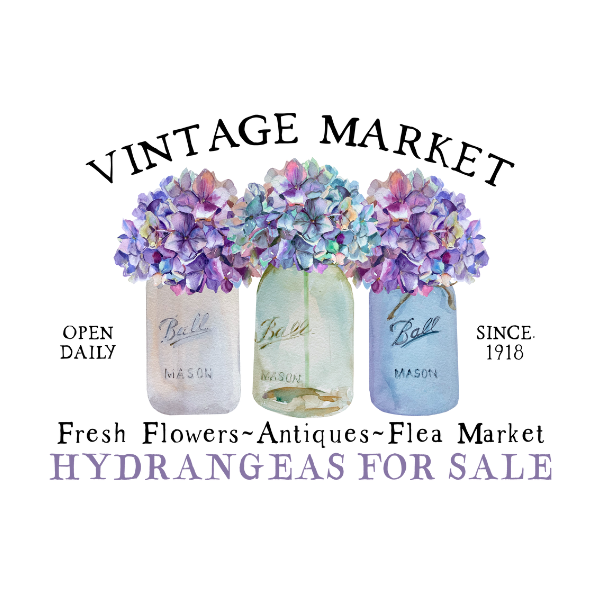 MARKET HYDRANGEAS