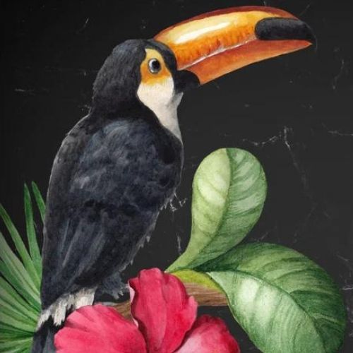 Toucan Mint Decoupage Paper
