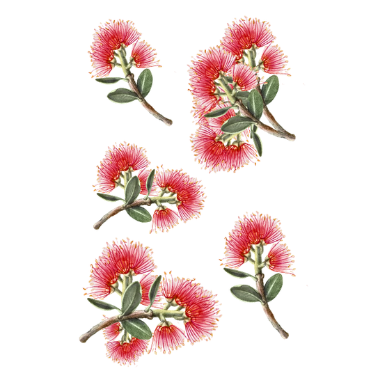 POHUTUKAWA